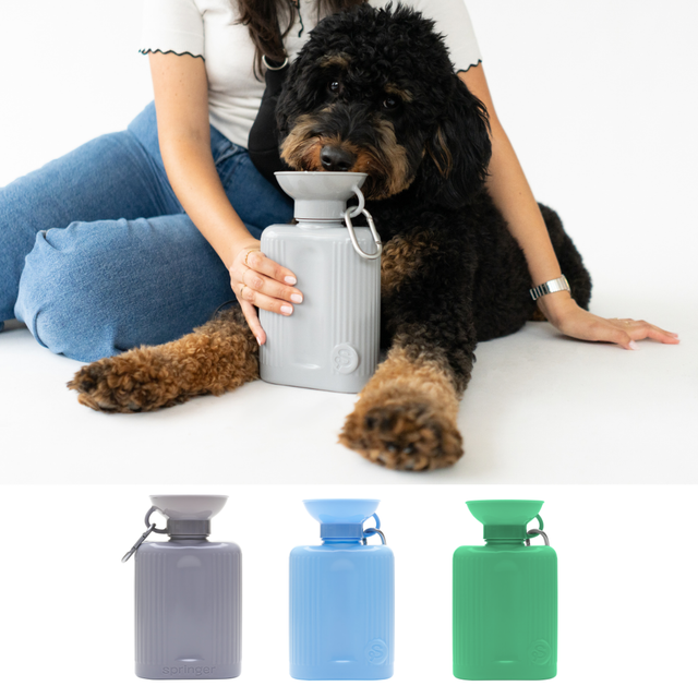 Travel Bowls | Castroville Canine Corner